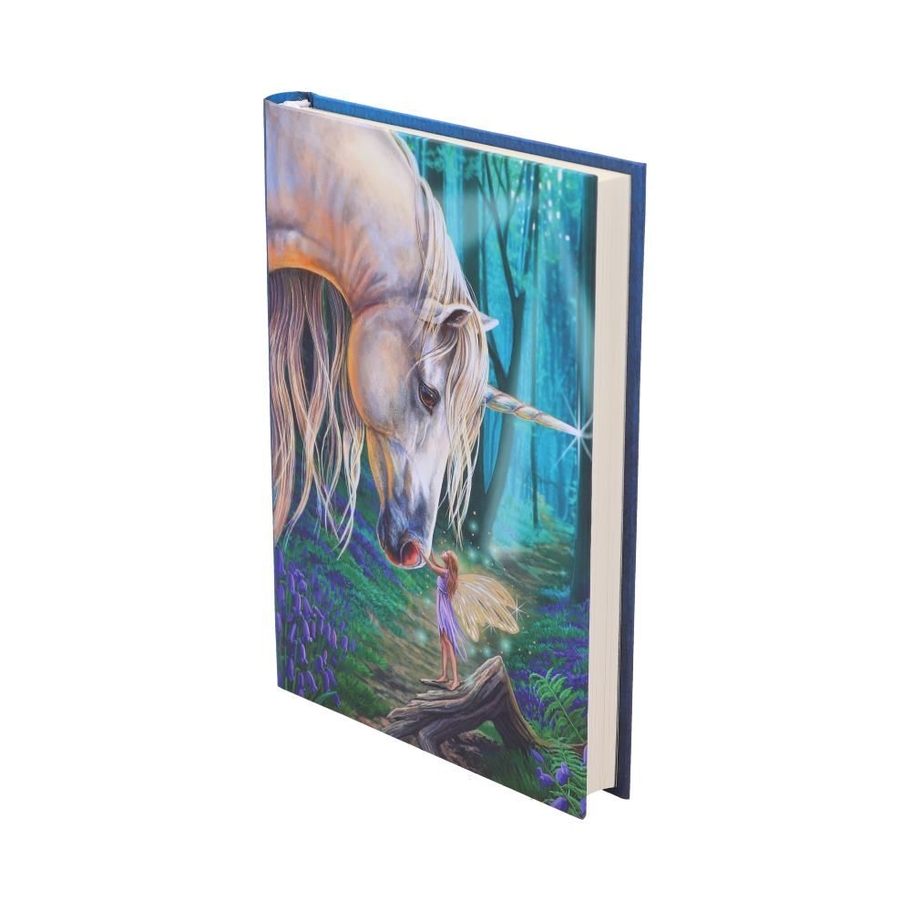 Nemesis Now - Fairy Whispers Notitieboek - Multicolours